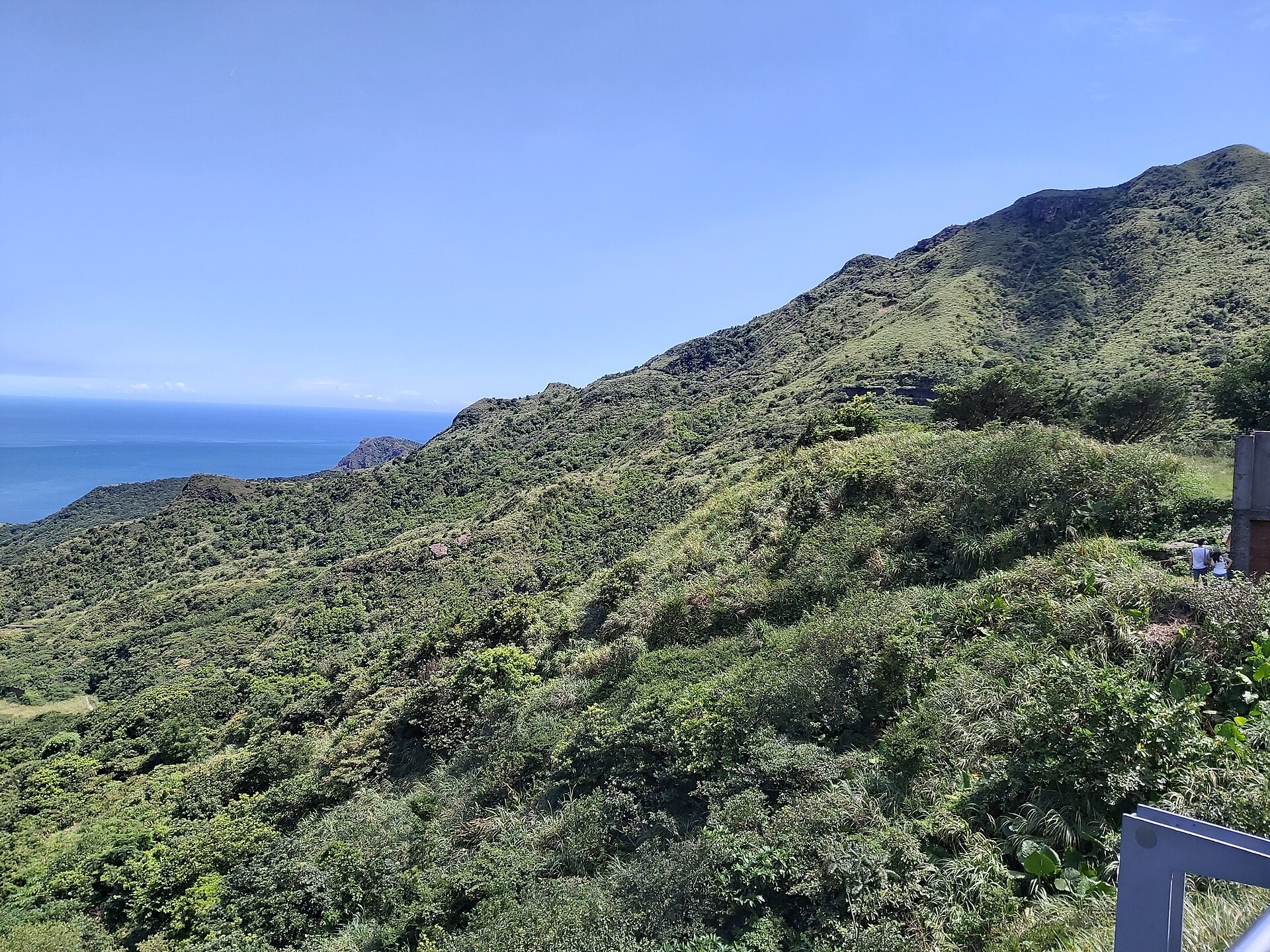 Green ridges of the northeast coast